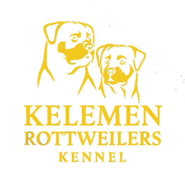 von-kelemen.com
